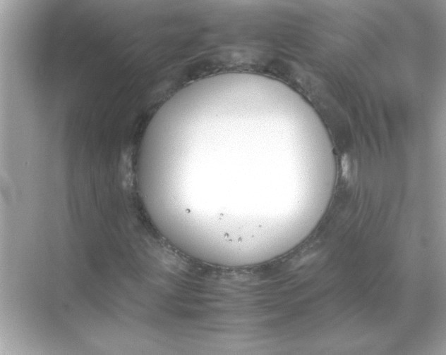 X0000070831203200606301919