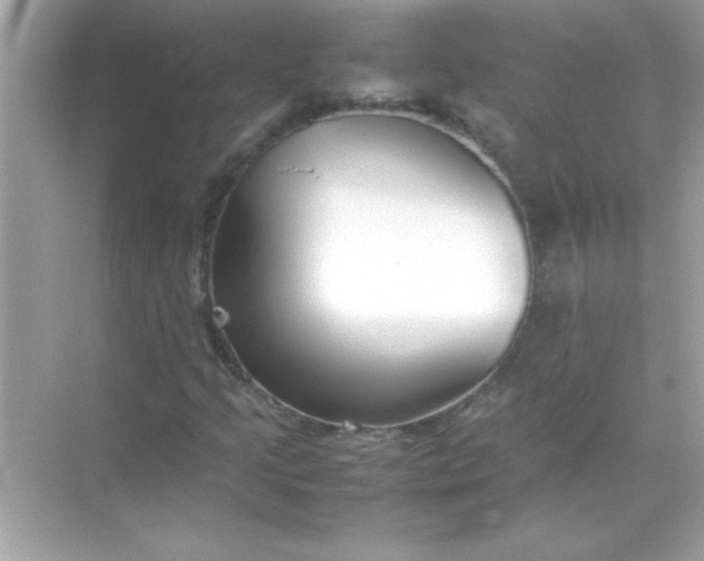 X0000070831205200606301919