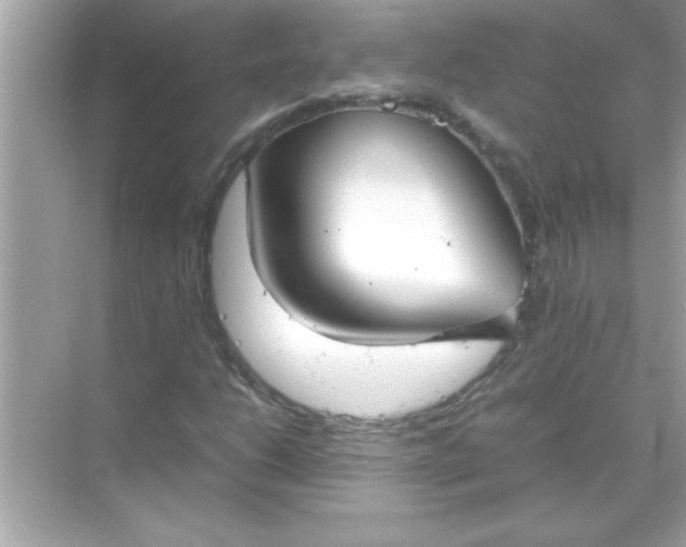 X0000070831206200606301919
