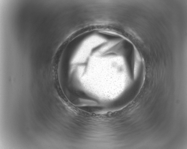 X0000070831208200606301919