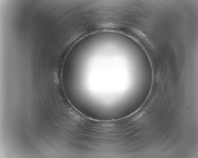 X0000070831209200606301919