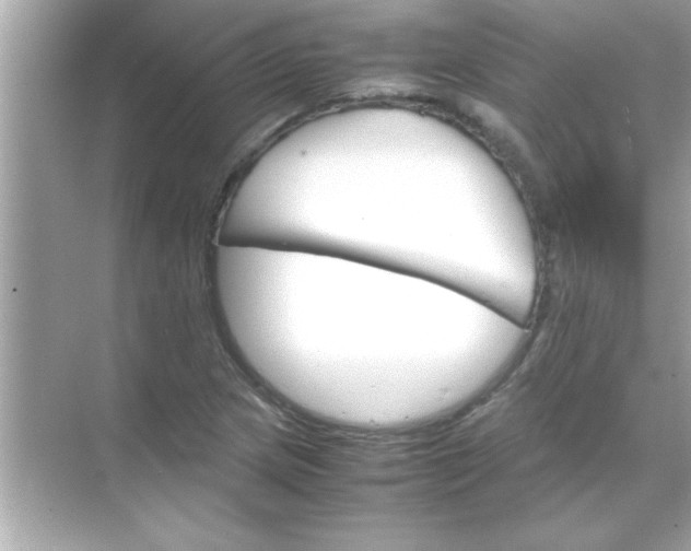X0000070831217200606301919