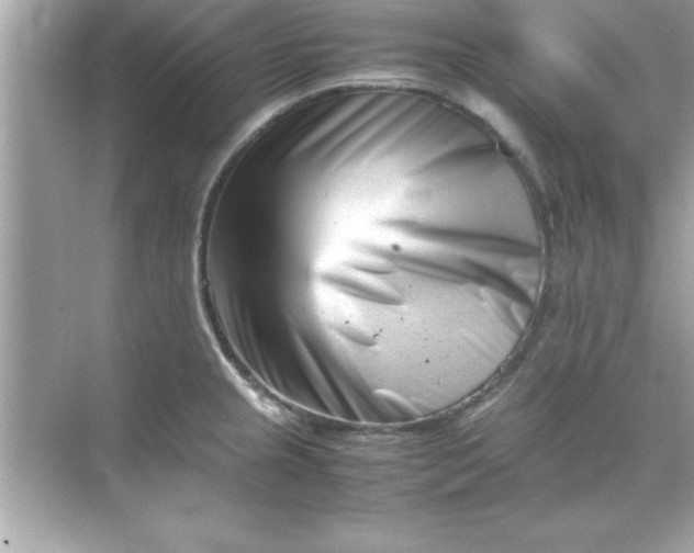 X0000070831237200606301920