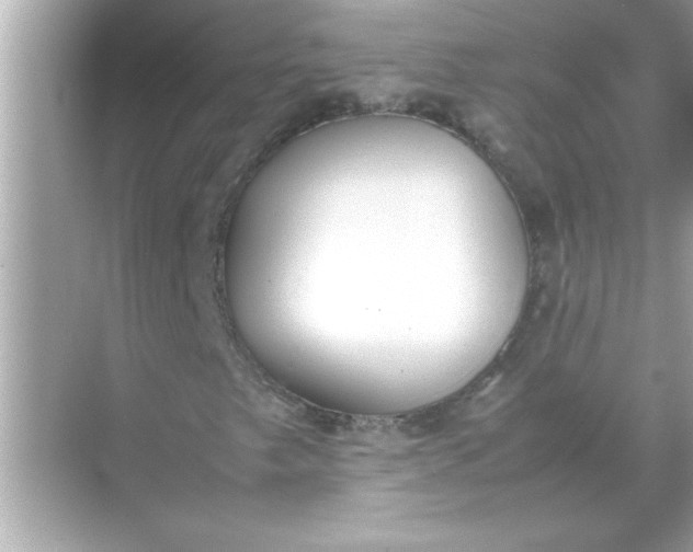 X0000070831249200606301919