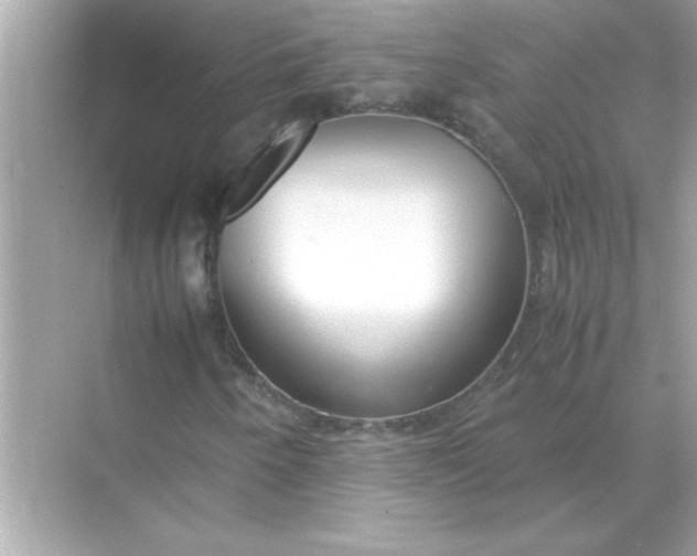 X0000070831250200606301919