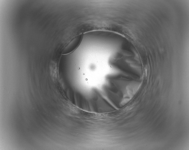 X0000070831251200606301919