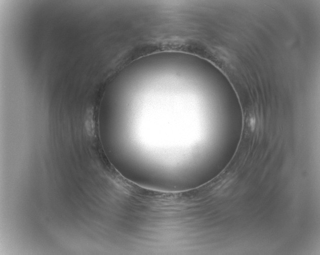 X0000070831252200606301919
