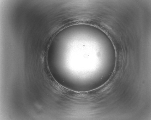 X0000070831257200606301919