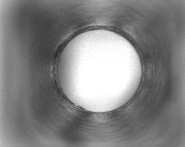 X0000070831258200606301919