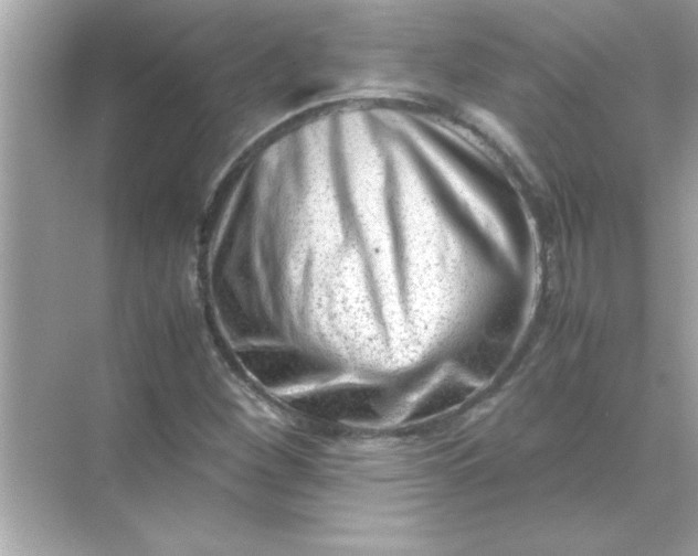 X0000070831260200606301919