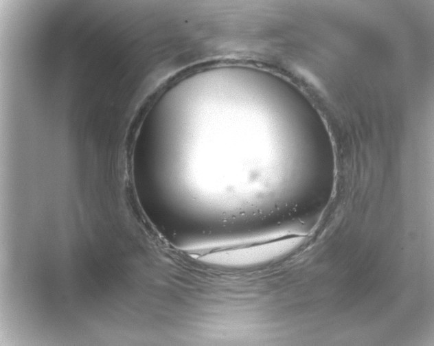 X0000070831267200606301919