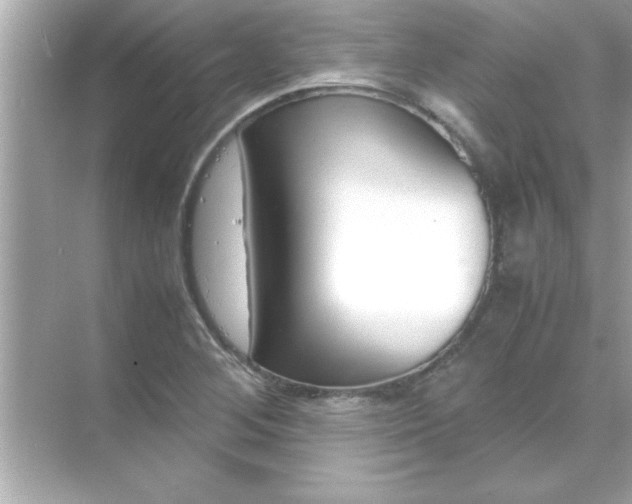 X0000070831268200606301919