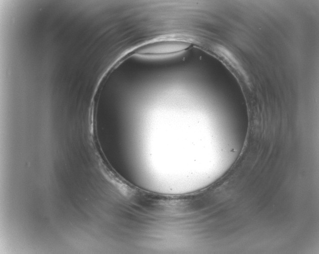 X0000070831276200606301919