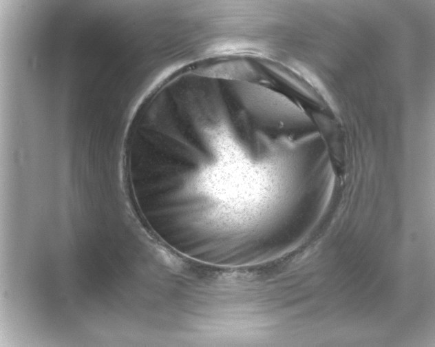 X0000070831277200606301919