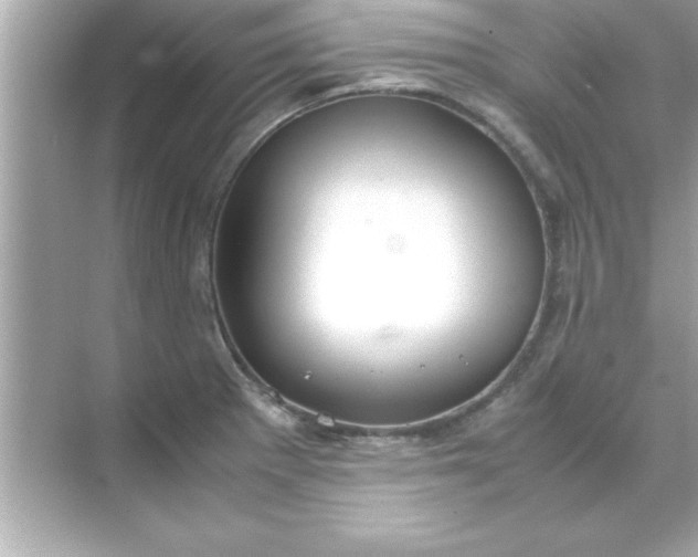 X0000070831281200606301919