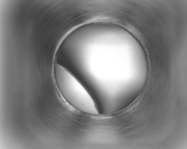 X0000070831296200606301918