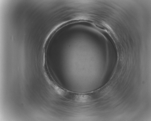 X0000070831323200606301918