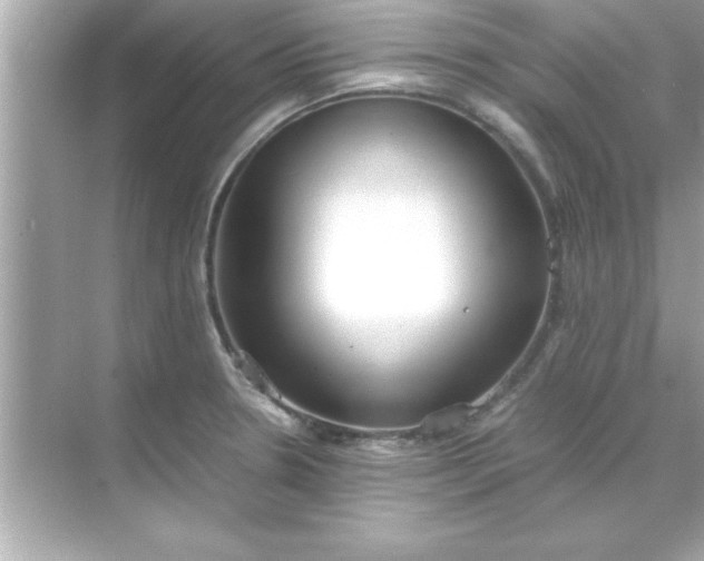 X0000070831330200606301918