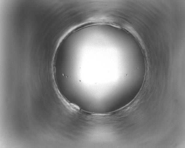 X0000070831344200606301918