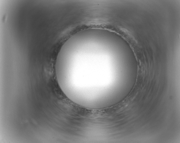 X0000070831350200606301917