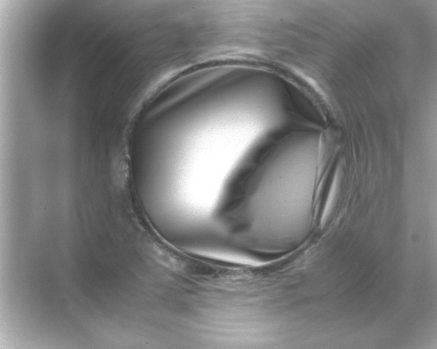 X0000070831363200606301917
