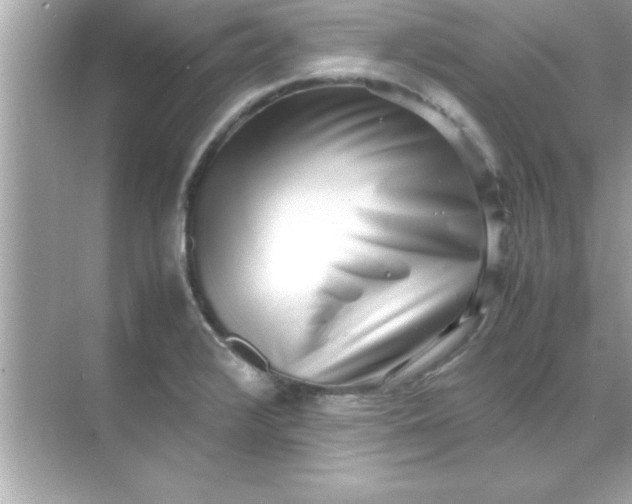 X0000070831376200606301917