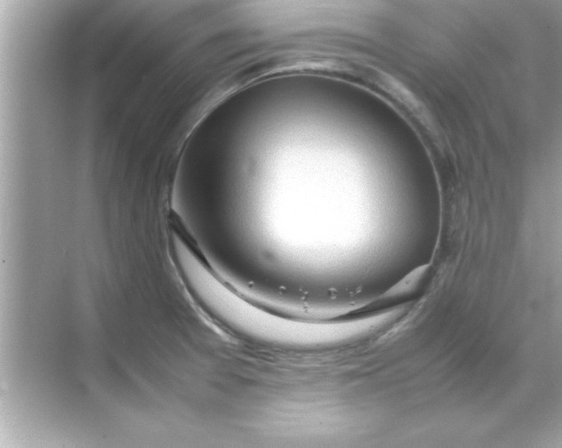 X0000070831377200606301917