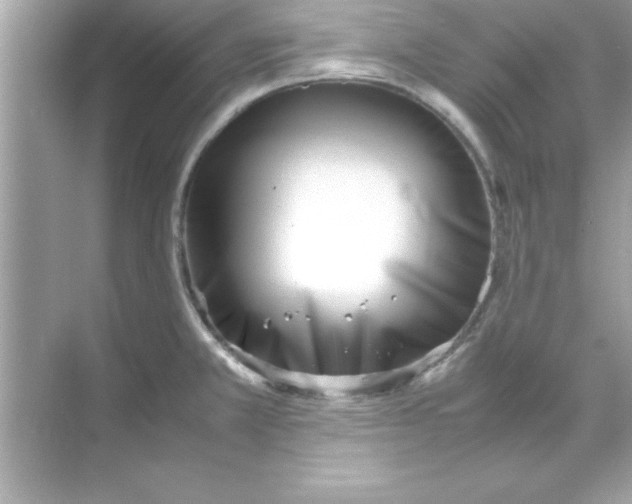 X0000070831381200606301917