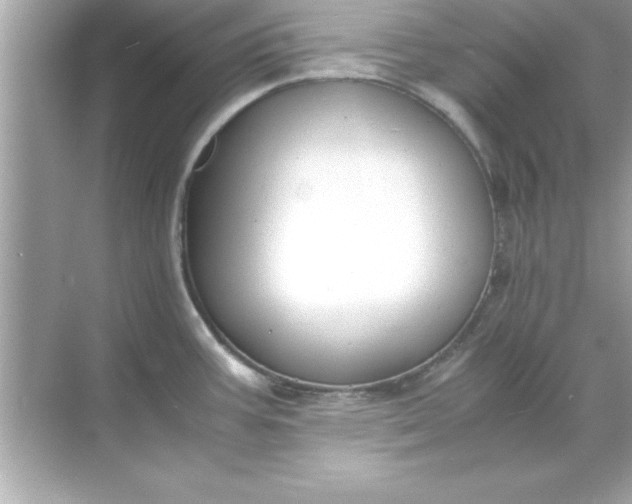 X0000070831387200606301917