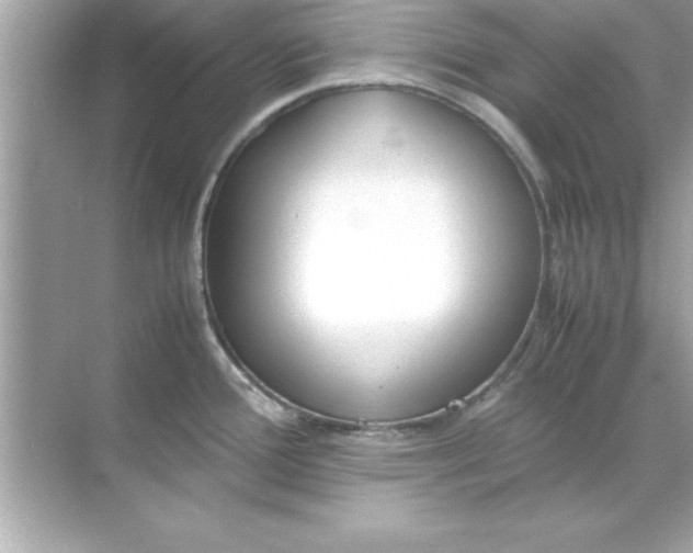 X0000070831388200606301917