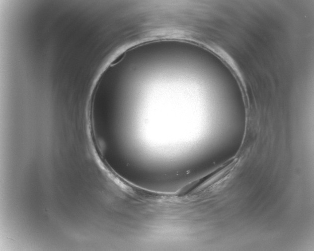 X0000070831389200606301917