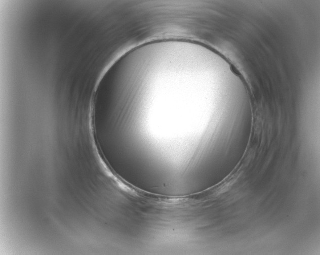 X0000070831390200606301917