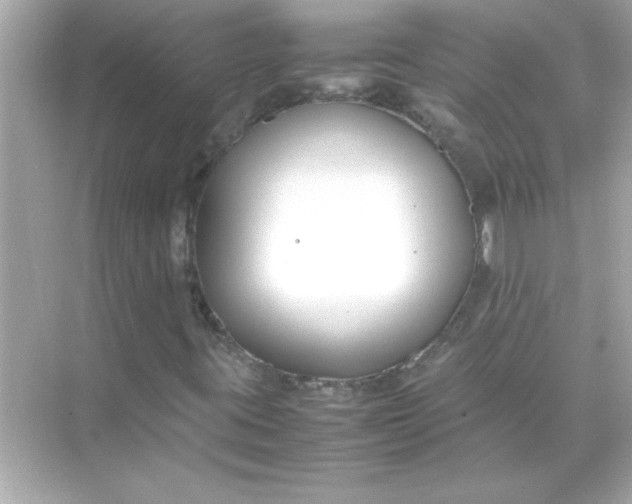 X0000070831395200606301916