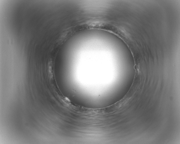 X0000070831396200606301916