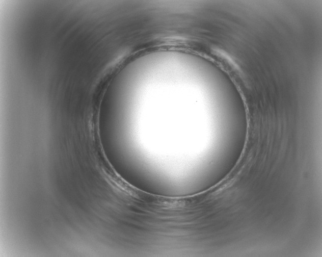 X0000070831403200606301916