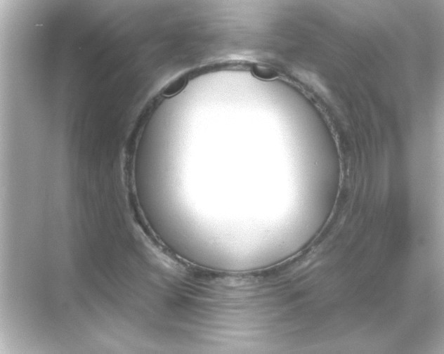 X0000070831404200606301916