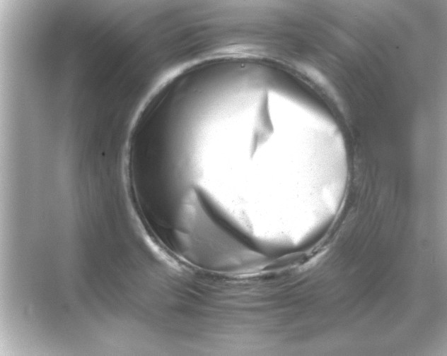 X0000070831421200606301916
