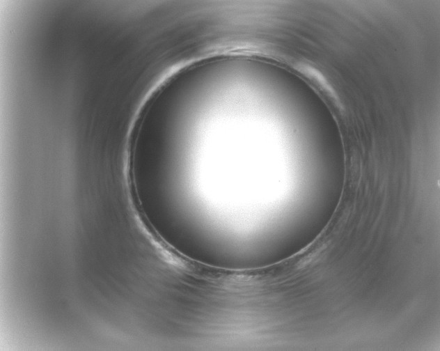 X0000070831424200606301916