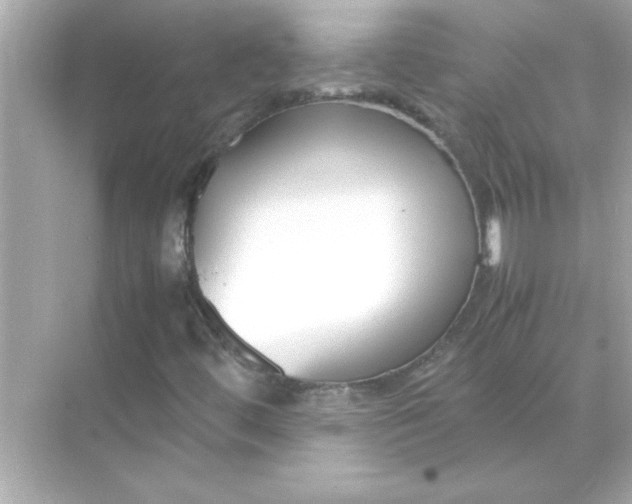X0000070831444200606301916