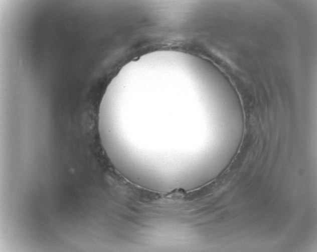X0000070831447200606301916