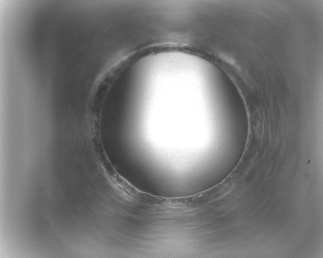 X0000070831448200606301916