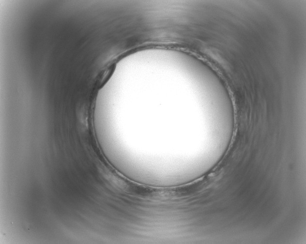 X0000070831451200606301916