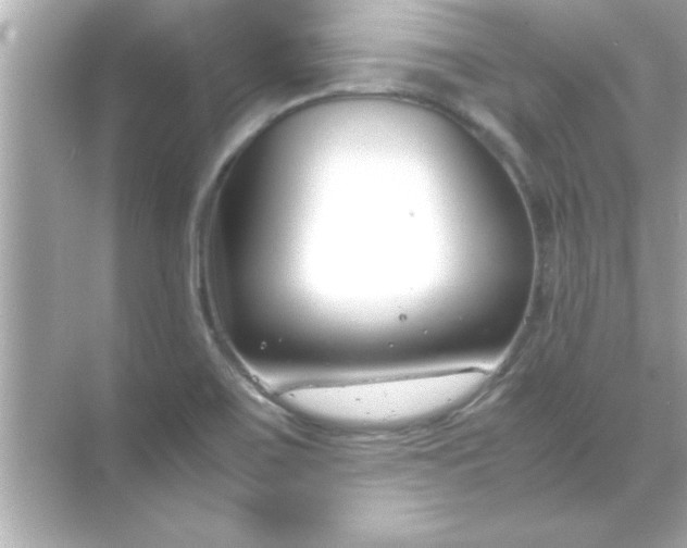 X0000070831467200606301915