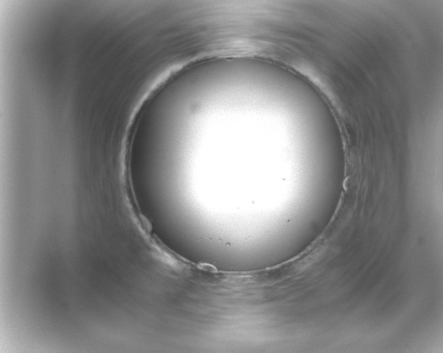 X0000070831477200606301915