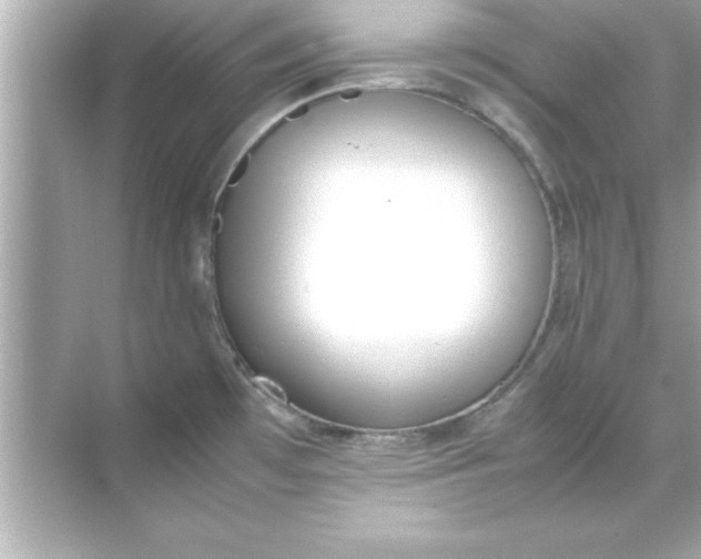 X0000070831481200606301915