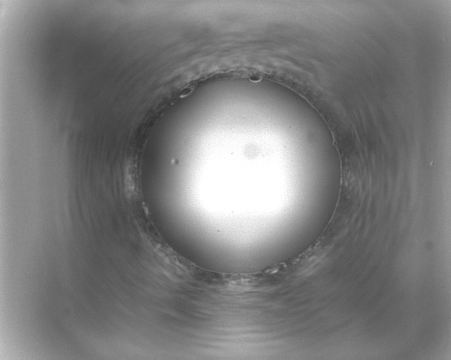X0000070831490200606301914