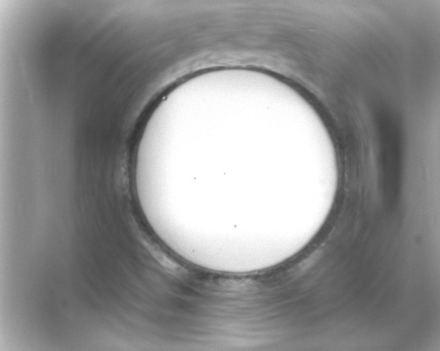 X0000070831498200606301914