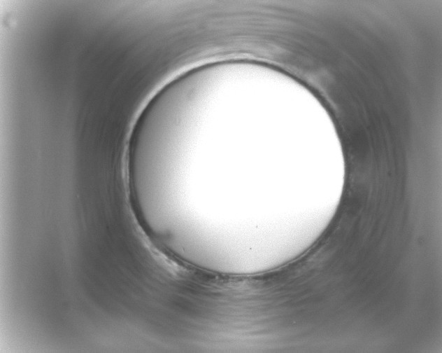 X0000070831516200606301915