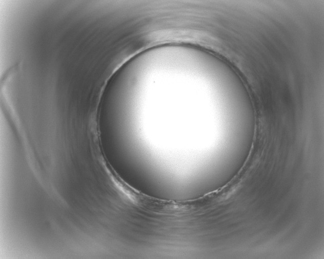 X0000070831521200606301915