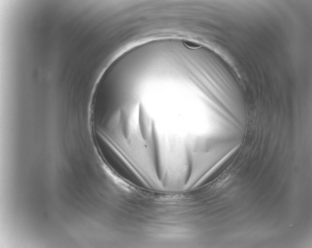 X0000070831535200606301915